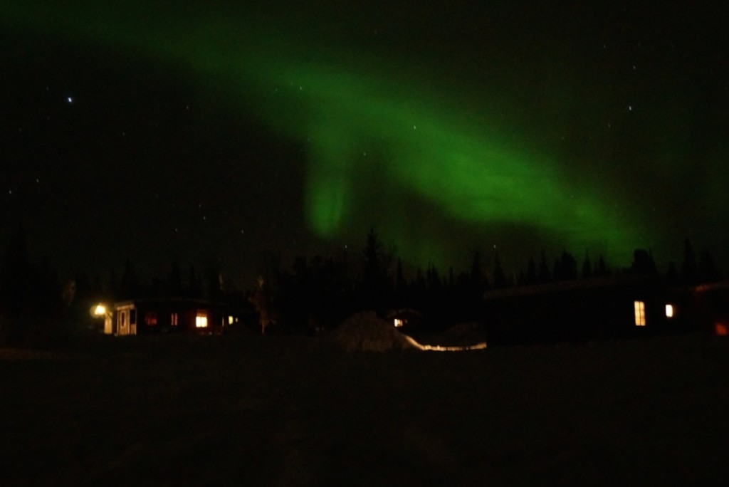 Northern Lights from Our Camp